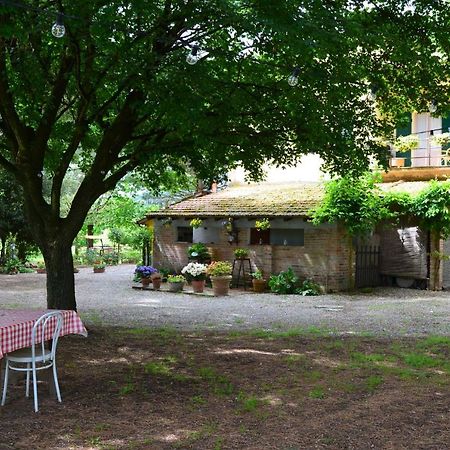 Campo Alle Monache Bucine Exteriör bild
