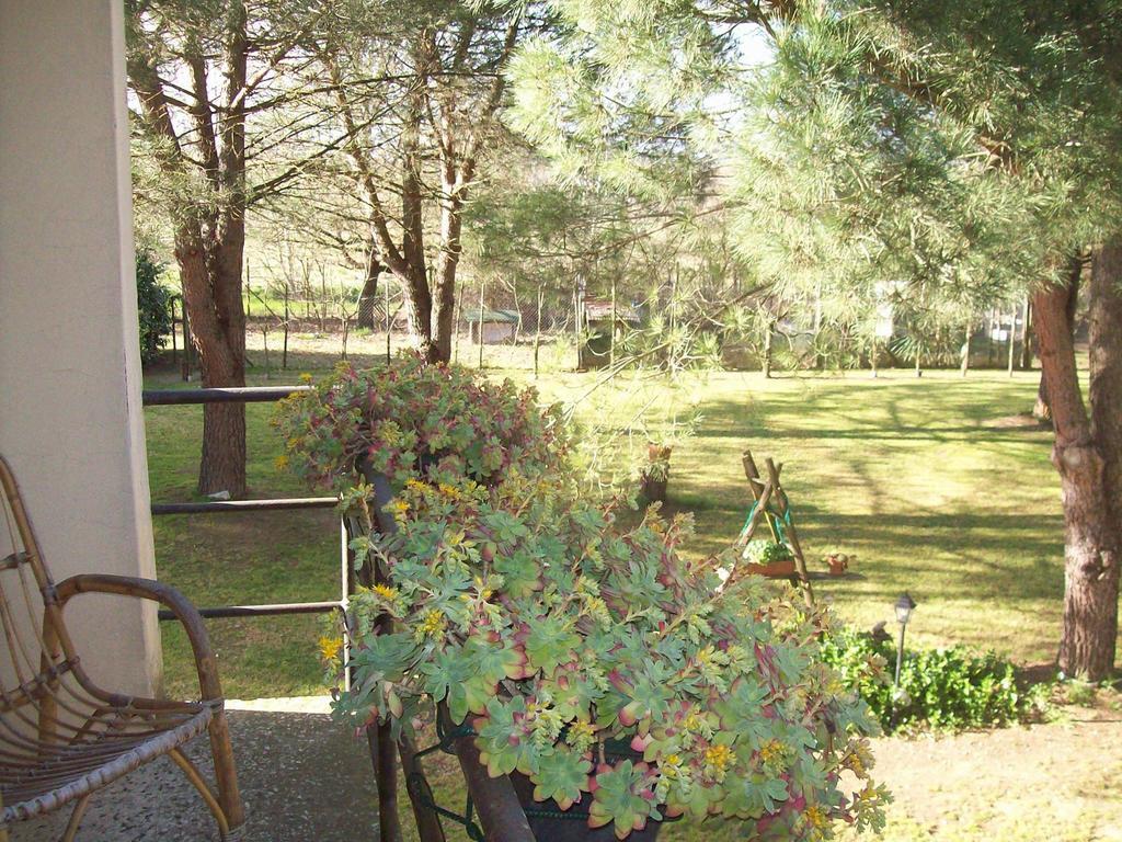 Campo Alle Monache Bucine Rum bild