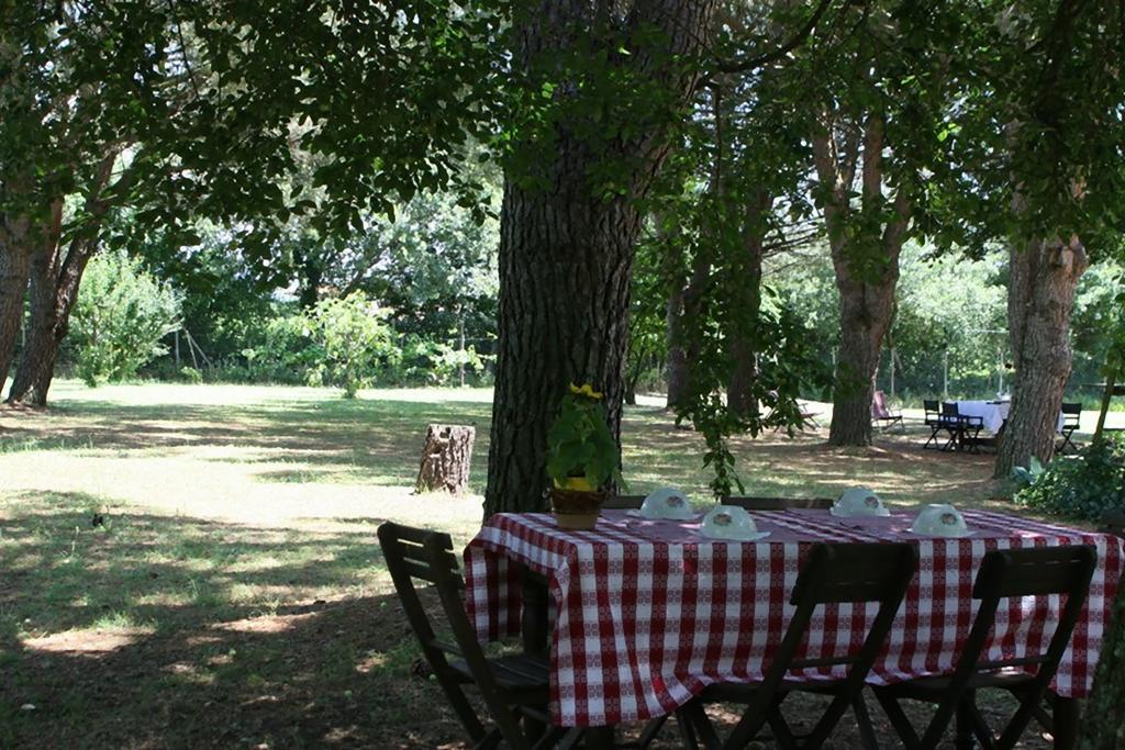 Campo Alle Monache Bucine Exteriör bild