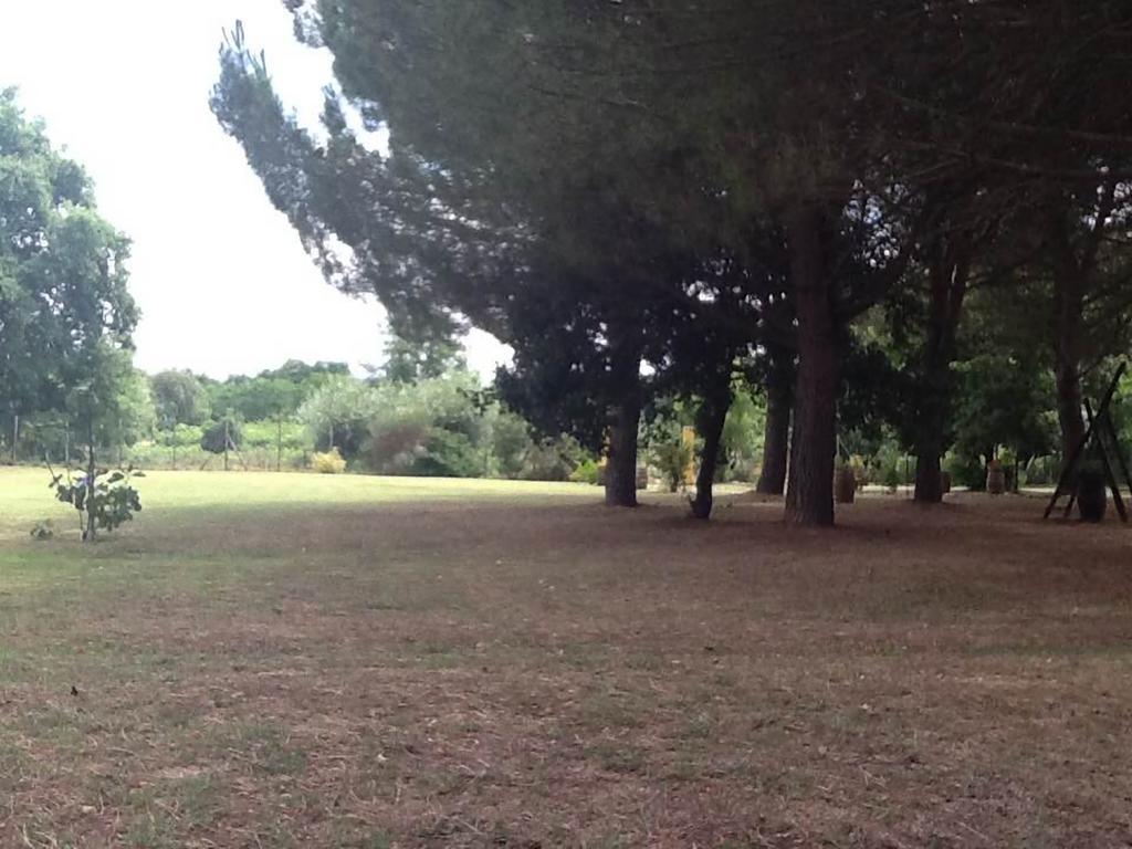 Campo Alle Monache Bucine Exteriör bild