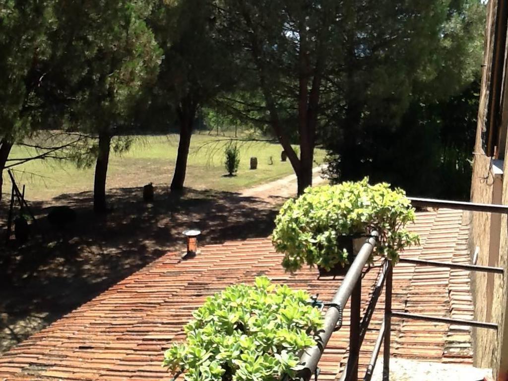 Campo Alle Monache Bucine Rum bild