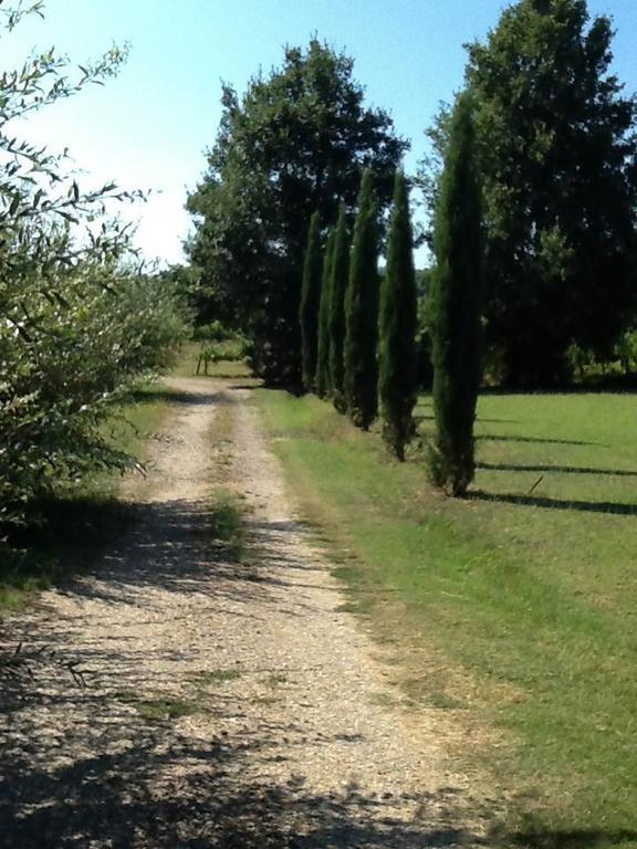 Campo Alle Monache Bucine Exteriör bild