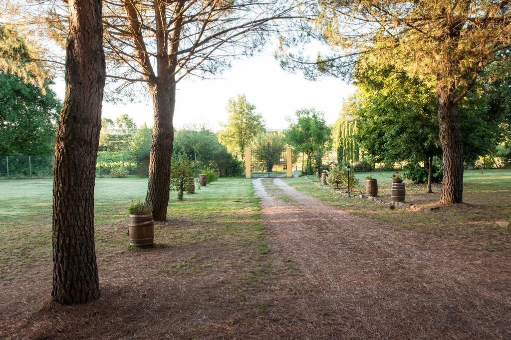 Campo Alle Monache Bucine Exteriör bild