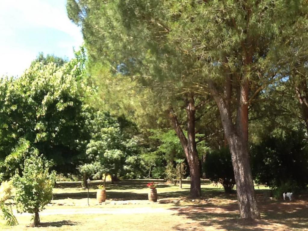 Campo Alle Monache Bucine Exteriör bild