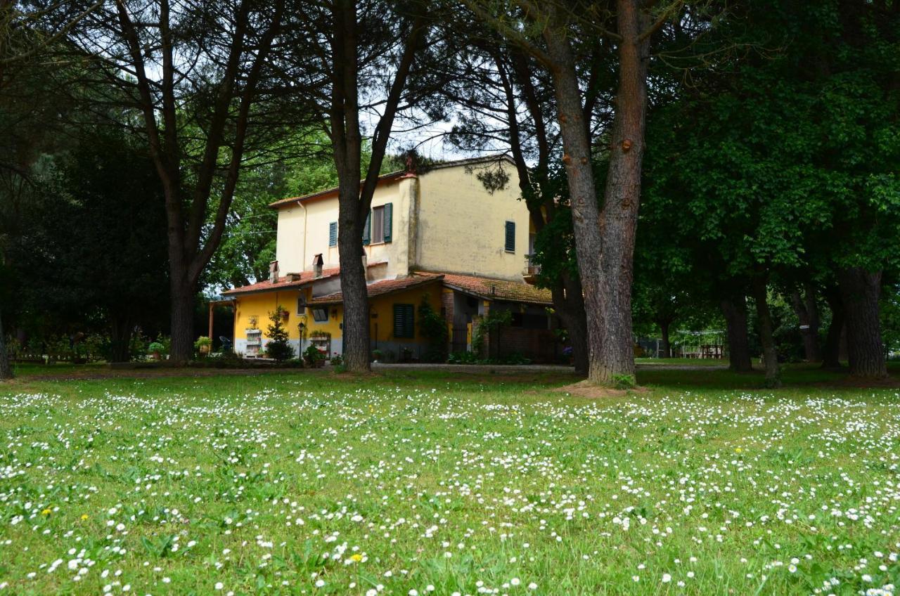 Campo Alle Monache Bucine Exteriör bild